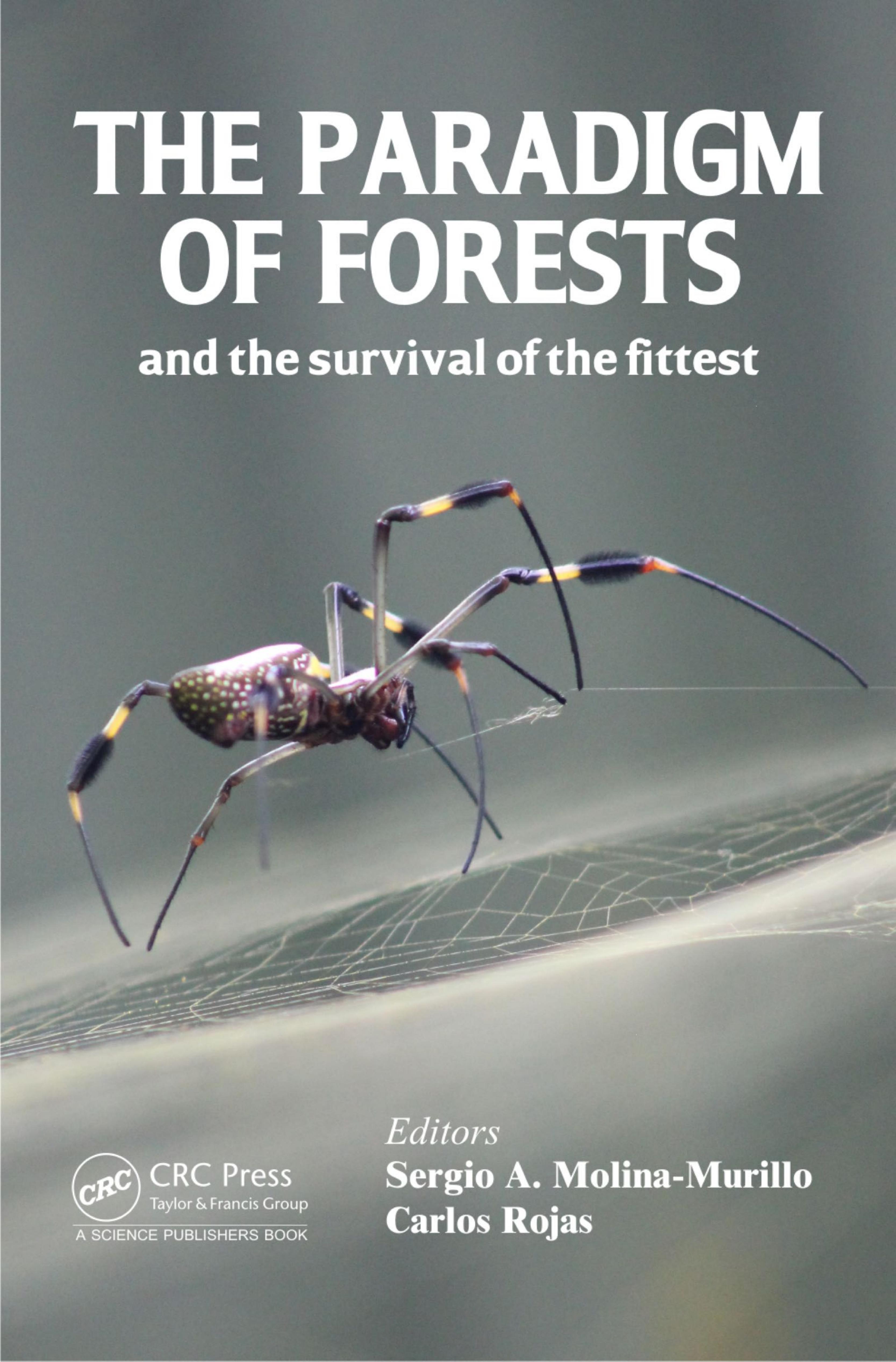 The paradigm of forests and the survival of the fittest by Molina-Murillo Sergio A.; Rojas Carlos