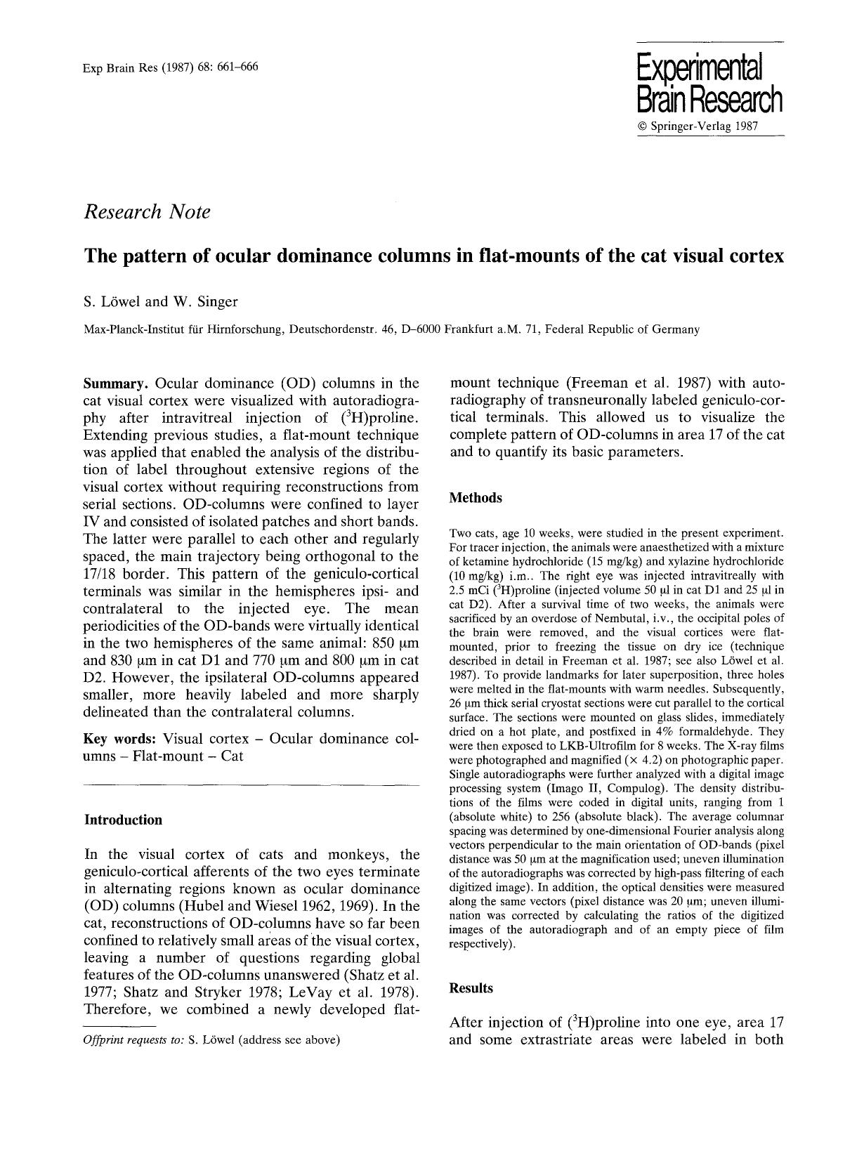 The pattern of ocular dominance columns in flat-mounts of the cat visual cortex by Unknown
