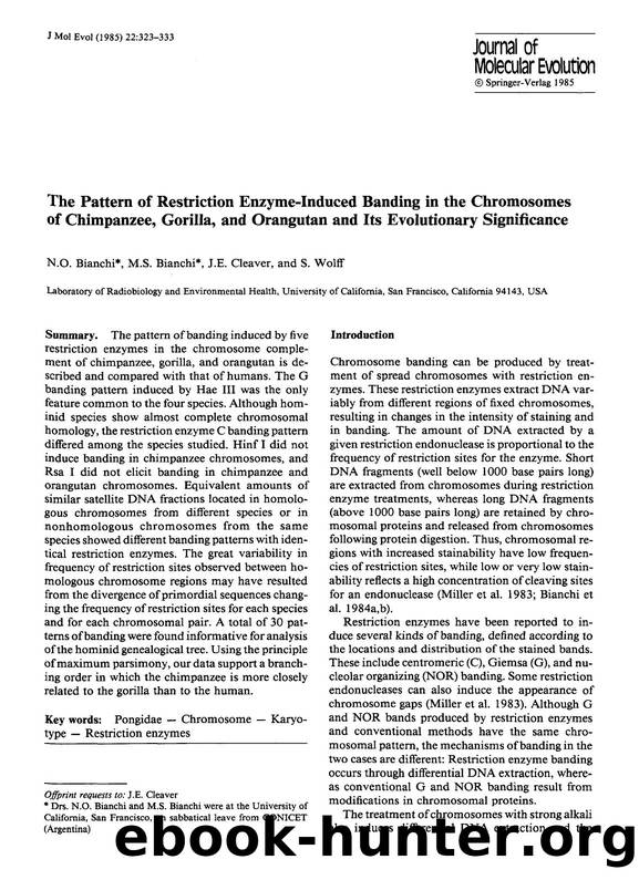 The pattern of restriction enzyme-induced banding in the chromosomes of chimpanzee, gorilla, and orangutan and its evolutionary significance by Unknown