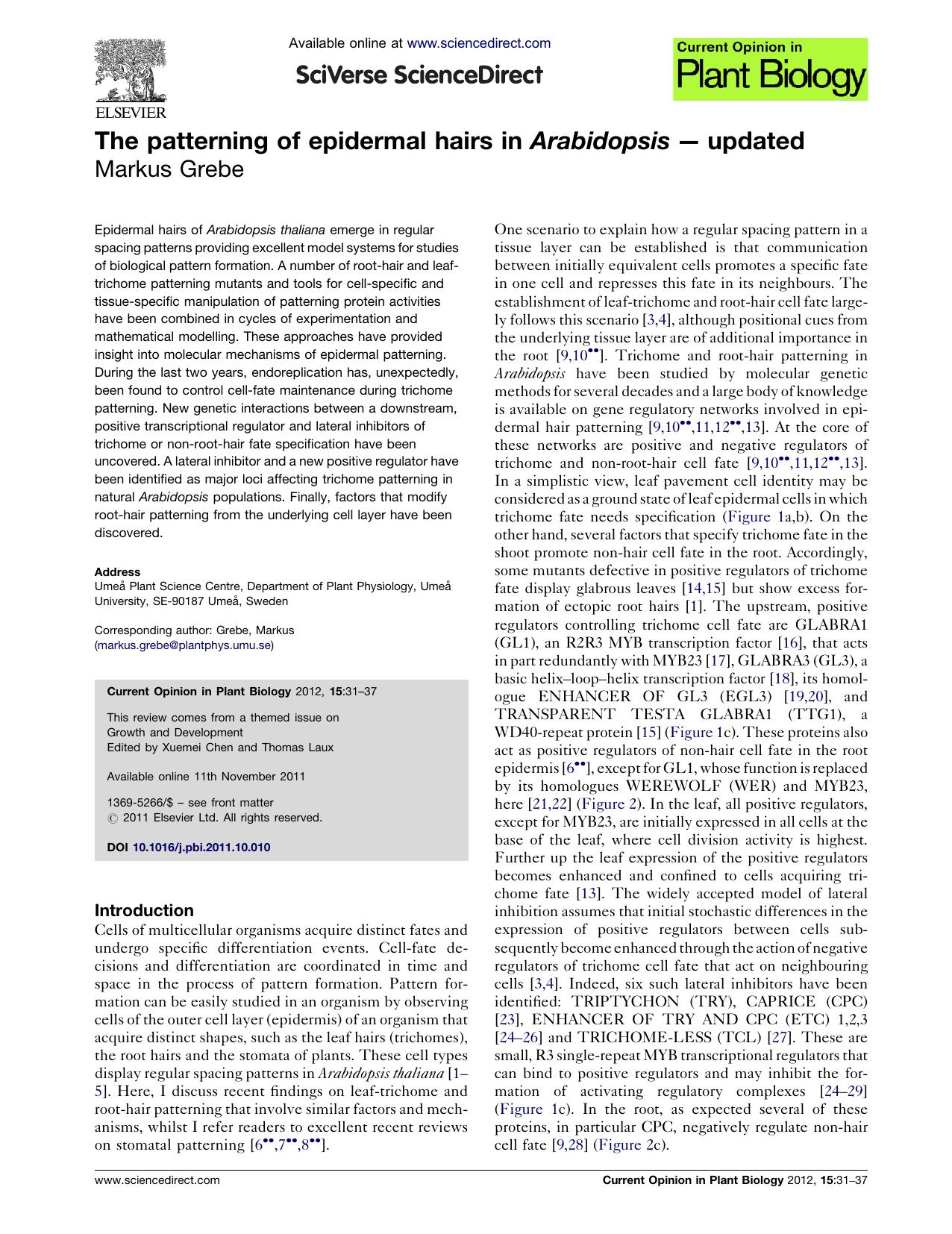 The patterning of epidermal hairs in Arabidopsisâupdated by Markus Grebe
