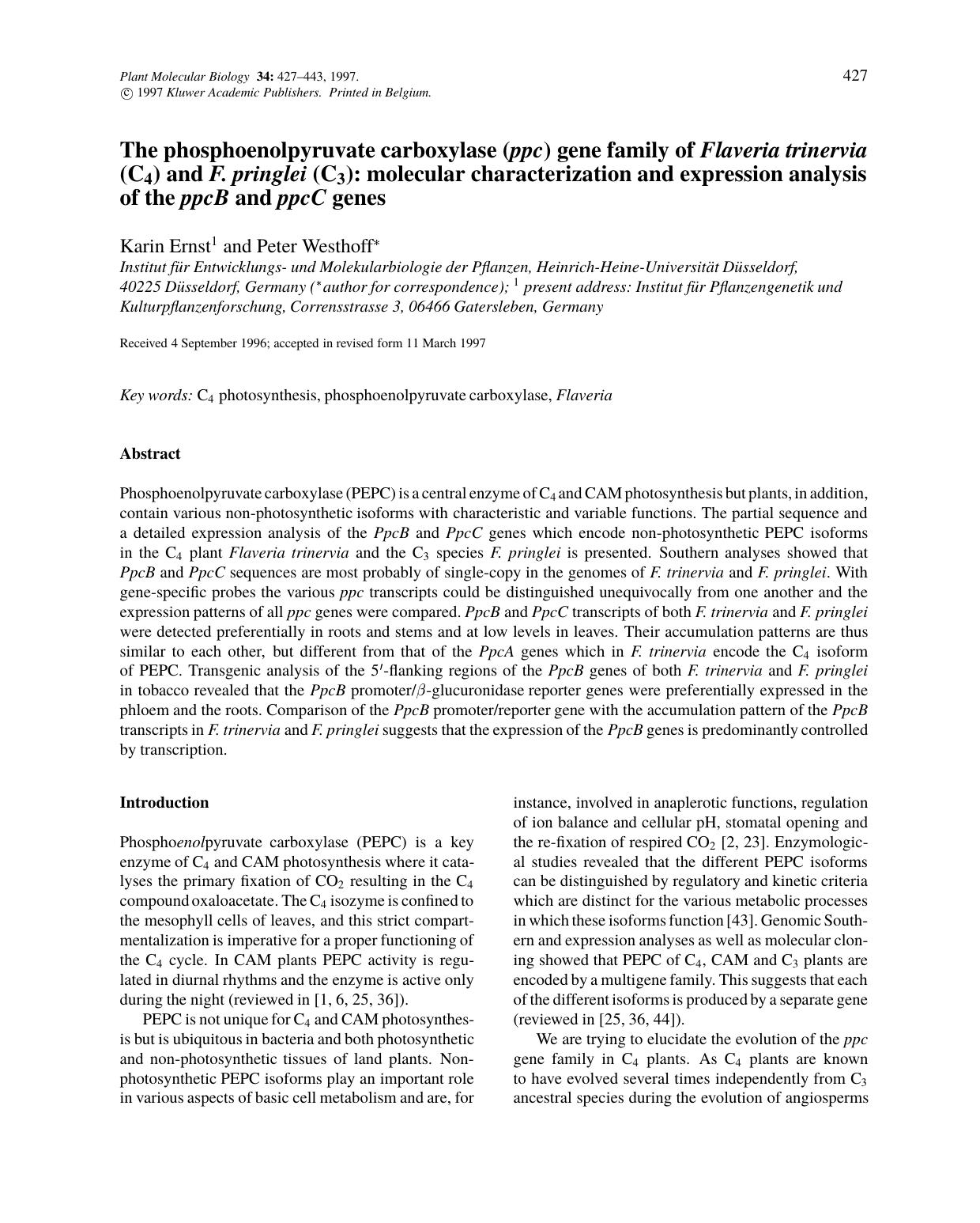 The phosphoenolpyruvate carboxylase (ppc) gene family of Flaveria trinervia (C<Subscript>4<Subscript>) and F. pringlei (C<Subscript>3<Subscript>): molecular characterization and ex by Unknown