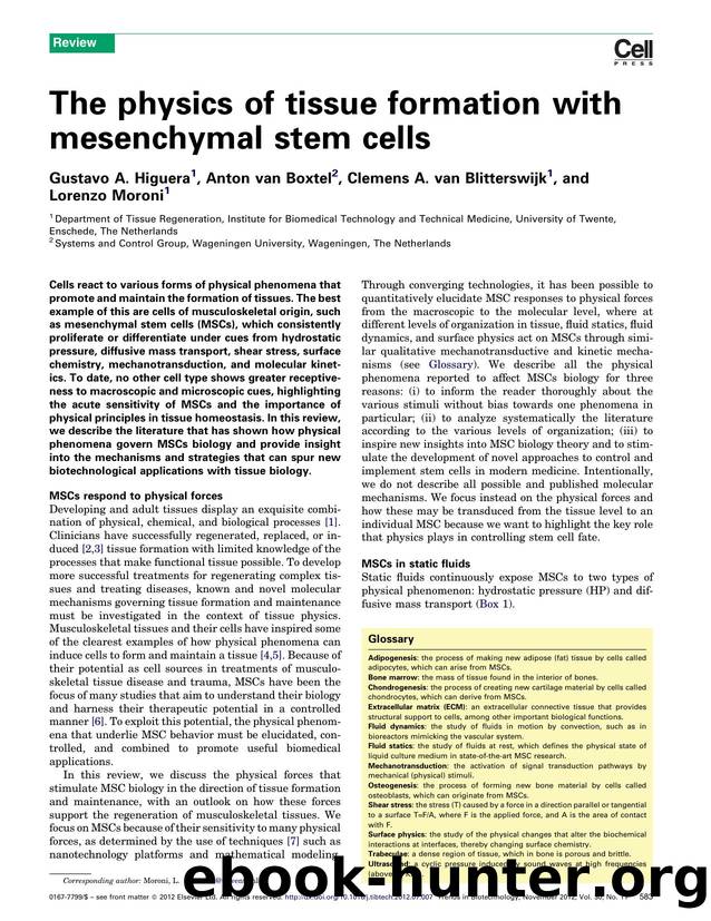The physics of tissue formation with mesenchymal stem cells by Gustavo A. Higuera