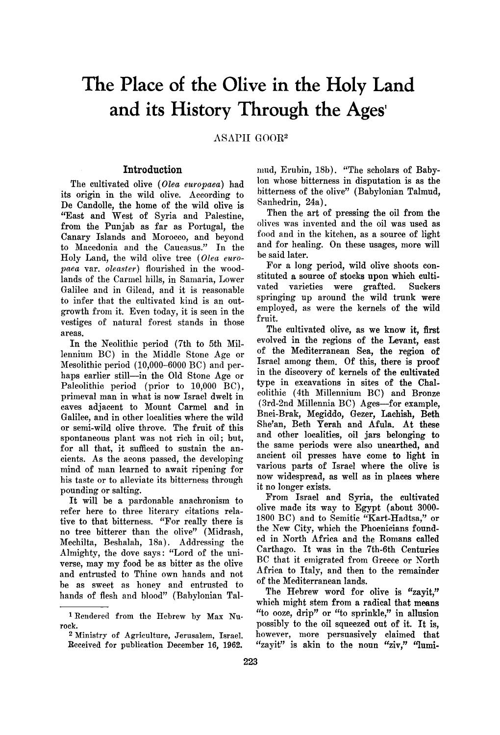 The place of the olive in the holy land and its history through the ages by Unknown