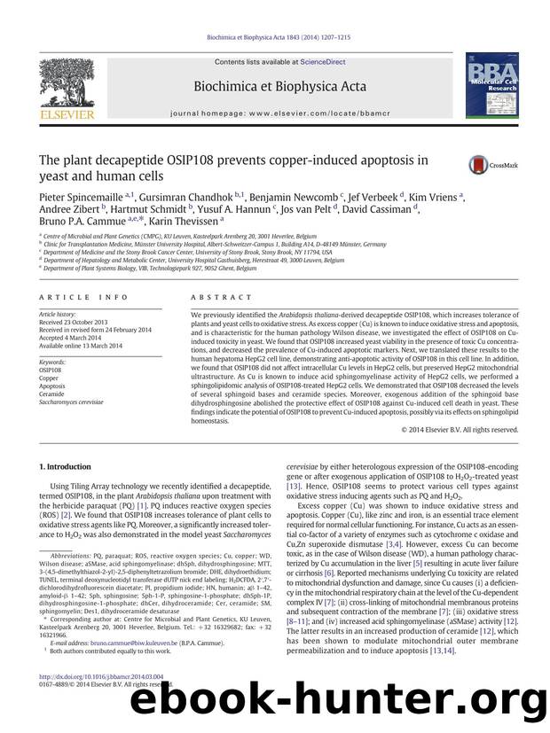 The plant decapeptide OSIP108 prevents copper-induced apoptosis in yeast and human cells by unknow