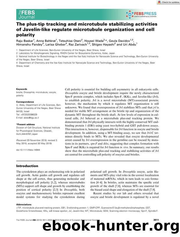 The plusâtip tracking and microtubule stabilizing activities of Javelinâlike regulate microtubule organization and cell polarity by Unknown