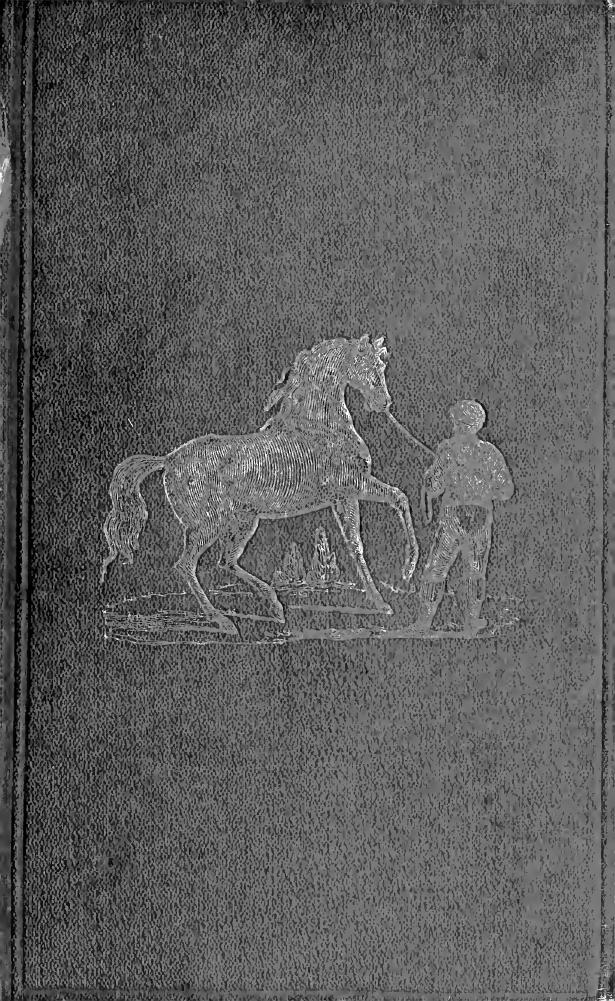 The pocket and the stud, or, Practical hints on the management of the stable by Hieover Harry 1796-1859