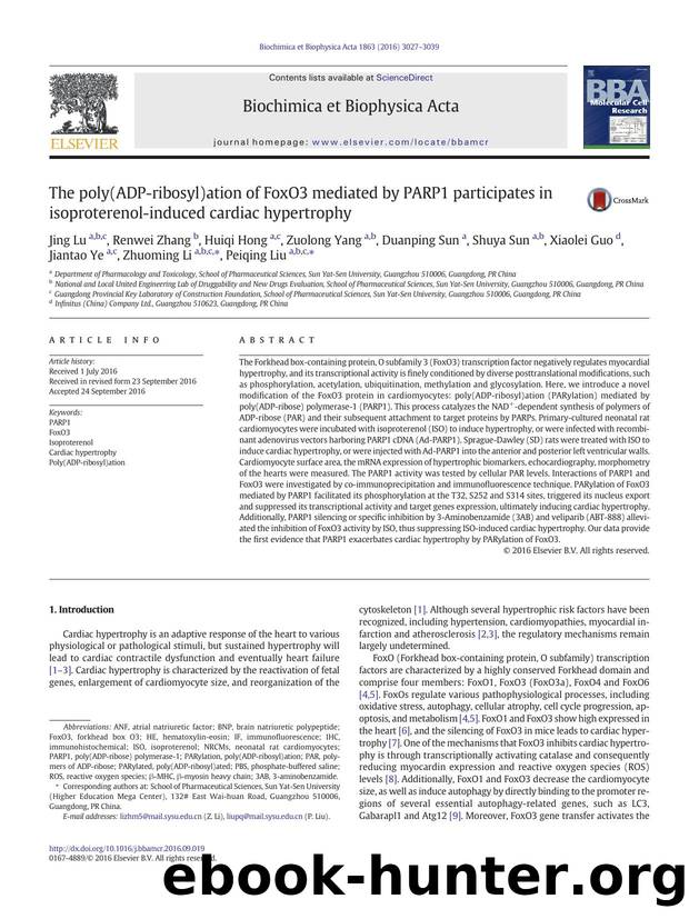 The poly(ADP-ribosyl)ation of FoxO3 mediated by PARP1 participates in isoproterenol-induced cardiac hypertrophy by unknow