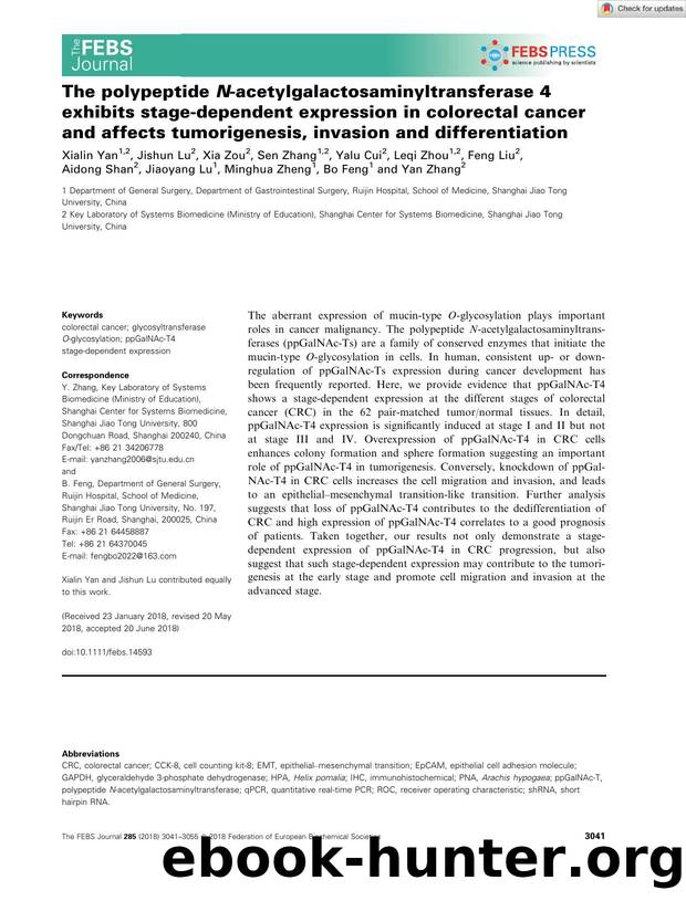 The polypeptide Nâacetylgalactosaminyltransferase 4 exhibits stageâdependent expression in colorectal cancer and affects tumorigenesis, invasion and differentiation by Unknown
