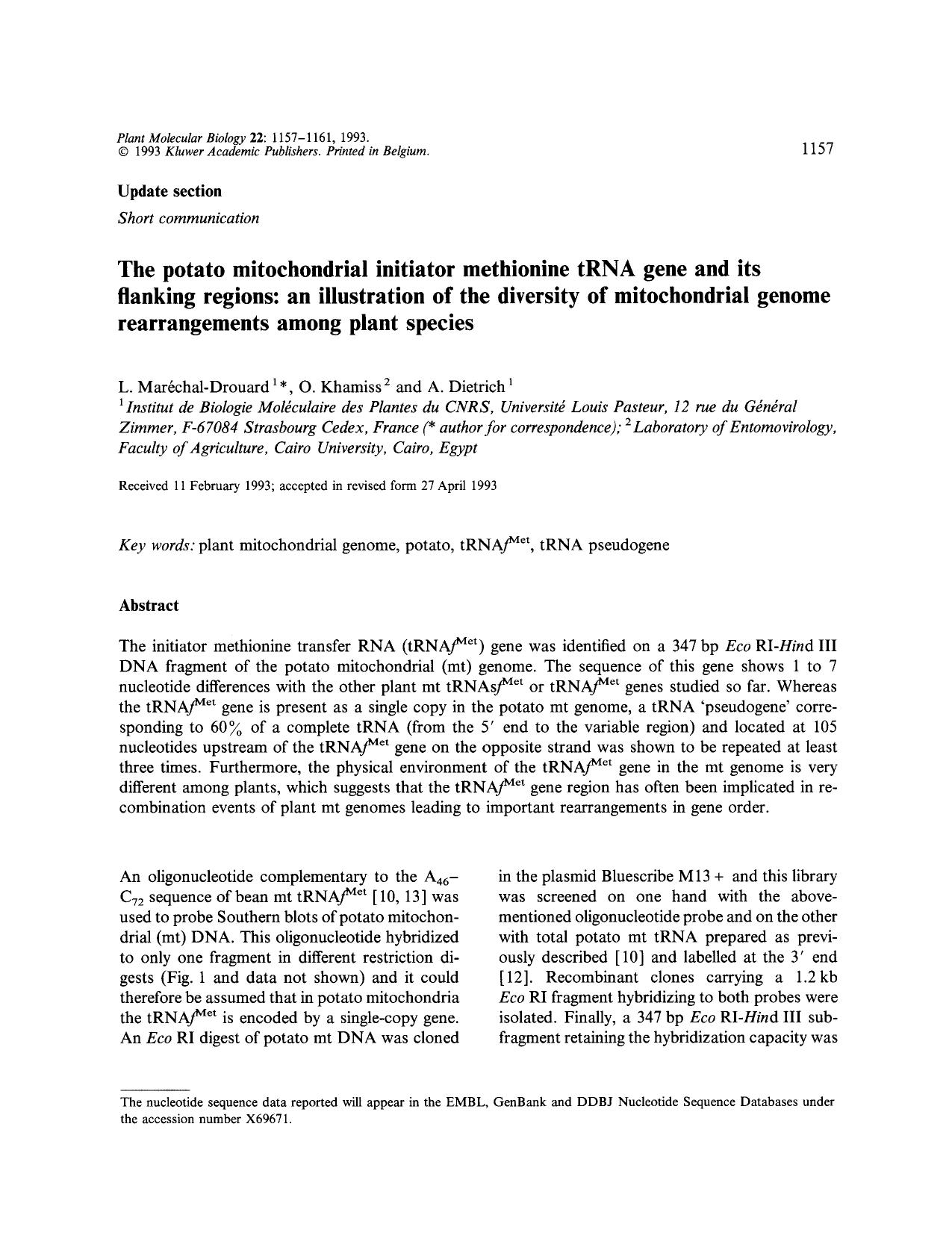 The potato mitochondrial initiator methionine tRNA gene and its flanking regions: an illustration of the diversity of mitochondrial genome rearrangements among plant species by Unknown