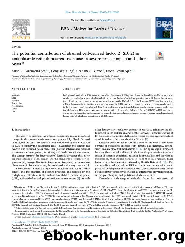 The potential contribution of stromal cell-derived factor 2 (SDF2) in endoplasmic reticulum stress response in severe preeclampsia and labor-onset by Aline R. Lorenzon-Ojea & Hong Wa Yung & Graham J. Burton & Estela Bevilacqua
