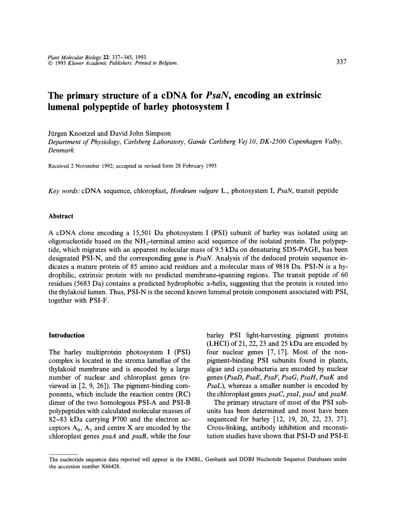 The primary structure of a cDNA for <Emphasis Type="Italic">PsaN <Emphasis>, encoding an extrinsic lumenal polypeptide of barley photosystem I by Unknown