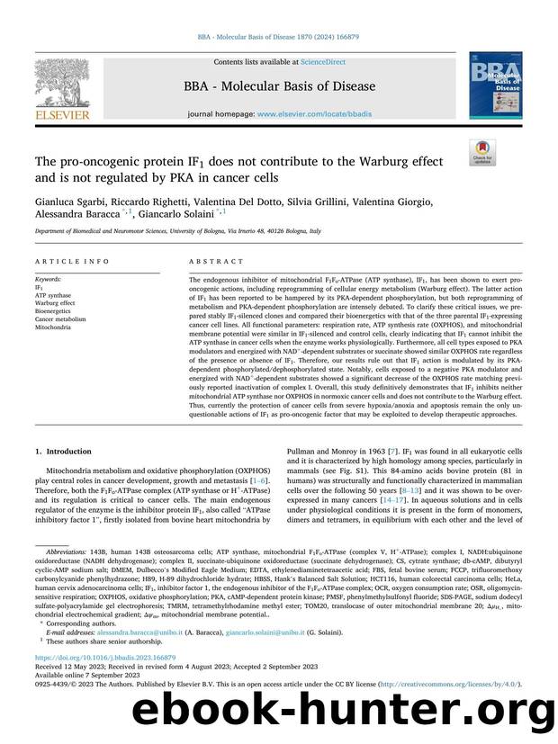 The pro-oncogenic protein IF1 does not contribute to the Warburg effect and is not regulated by PKA in cancer cells by unknow