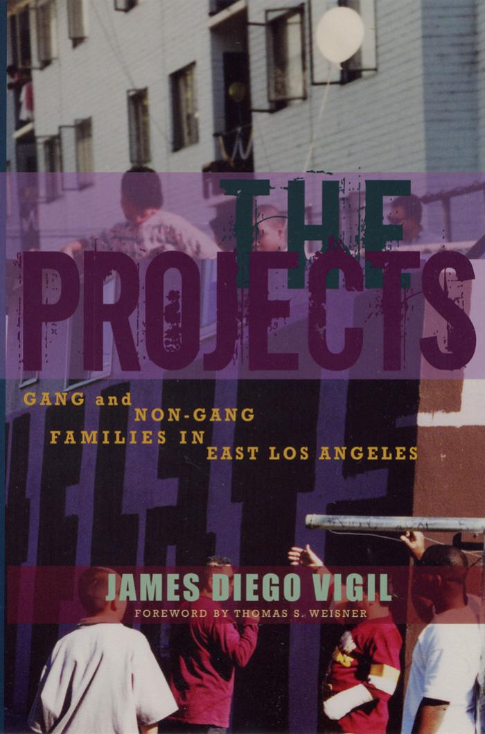The projects : gang and non-gang families in East Los Angeles by Vigil James Diego