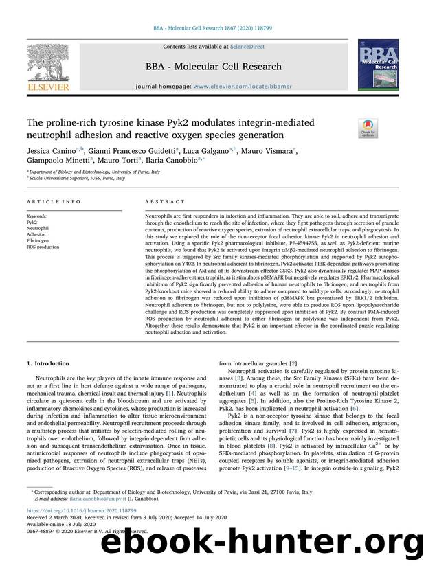 The proline-rich tyrosine kinase Pyk2 modulates integrin-mediated neutrophil adhesion and reactive oxygen species generation by unknow