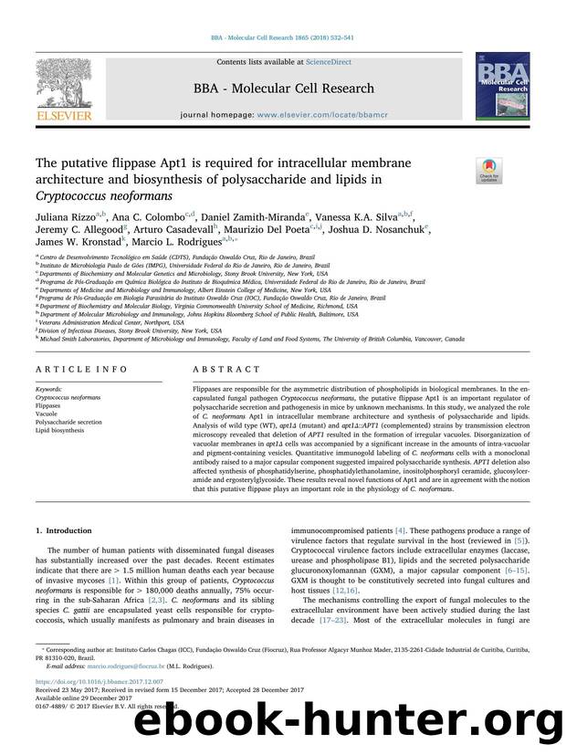 The putative flippase Apt1 is required for intracellular membrane architecture and biosynthesis of polysaccharide and lipids in Cryptococcus neoformans by unknow