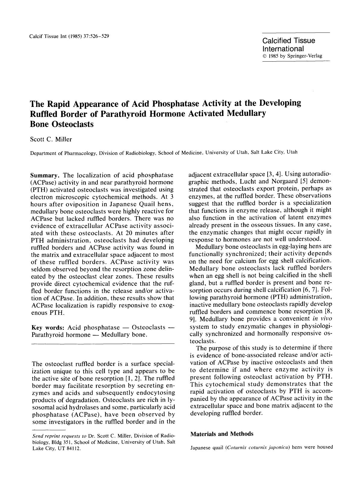 The rapid appearance of acid phosphatase activity at the developing ruffled border of parathyroid hormone activated medullary bone osteoclasts by Unknown