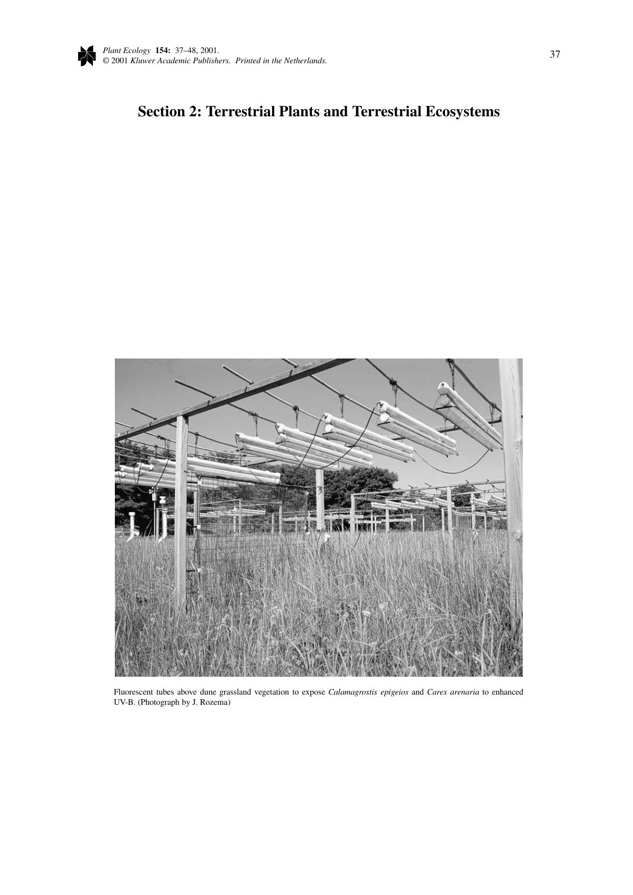 The reduction of aboveground Calamagrostis epigeios mass and tiller number by enhanced UV-B in a dune-grassland ecosystem by Unknown