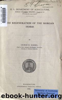 The regeneration of the Morgan horse by Rommel George M. (George McCullough) 1876-1945