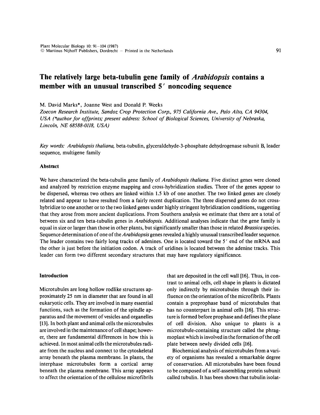 The relatively large beta-tubulin gene family of <Emphasis Type="Italic">Arabidopsis<Emphasis> contains a member with an unusual transcribed 5′ noncoding sequence by Unknown