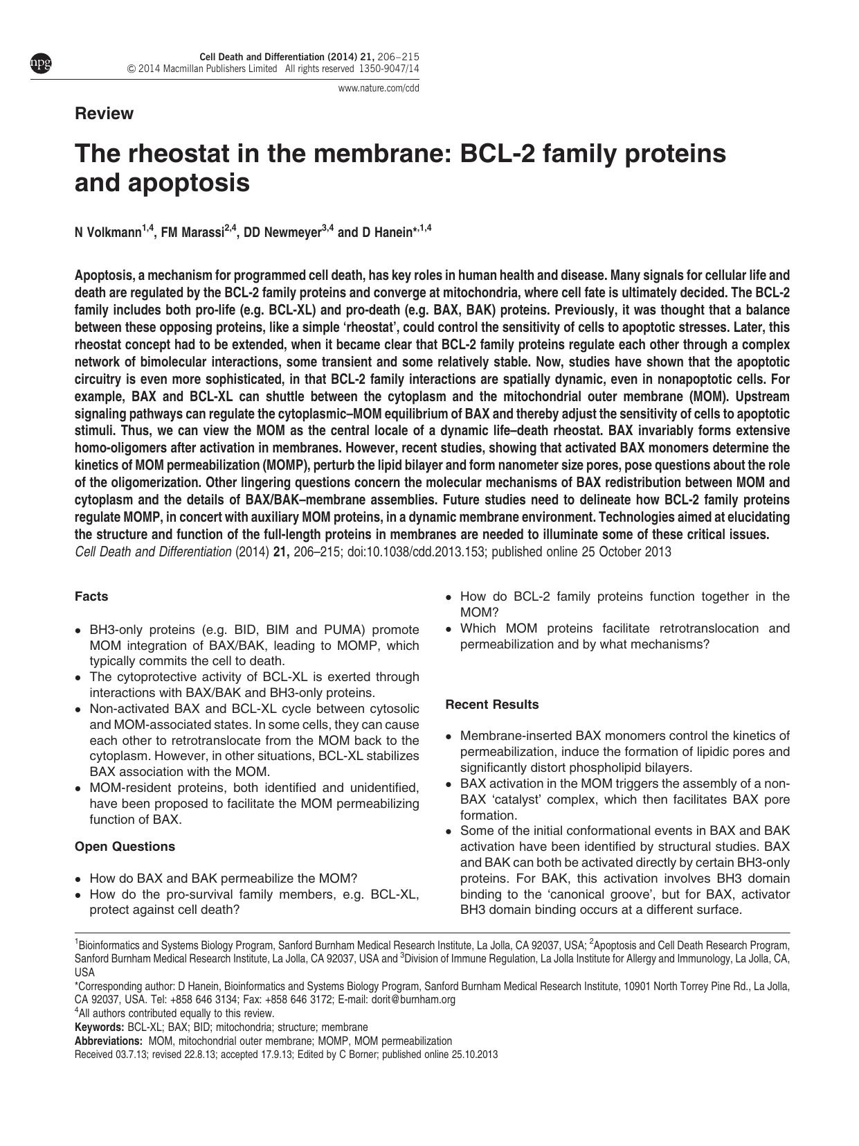 The rheostat in the membrane: BCL-2 family proteins and apoptosis by N Volkmann & F M Marassi & D D Newmeyer & D Hanein