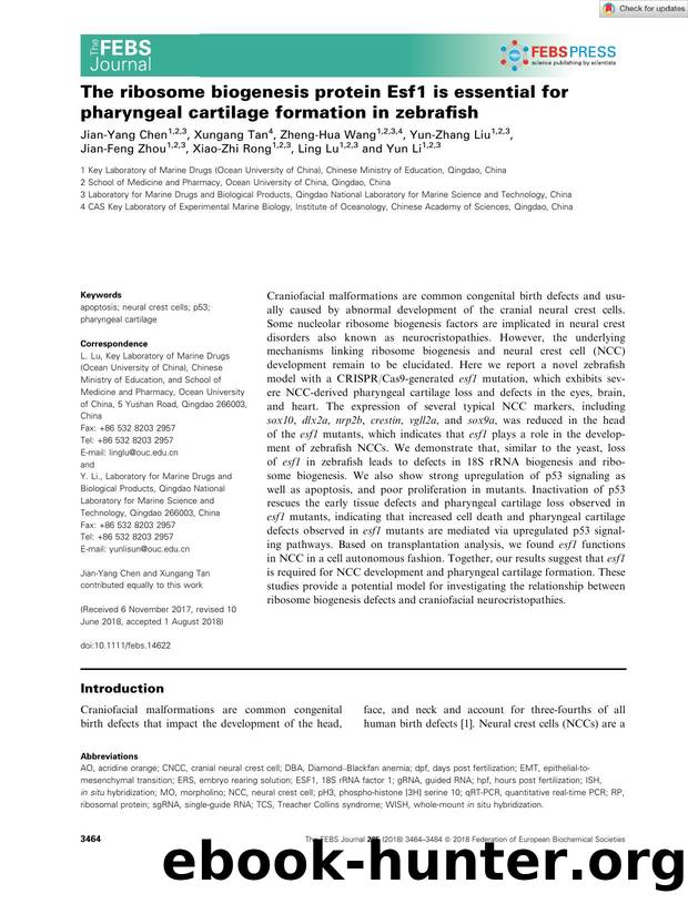 The ribosome biogenesis protein Esf1 is essential for pharyngeal cartilage formation in zebrafish by Unknown