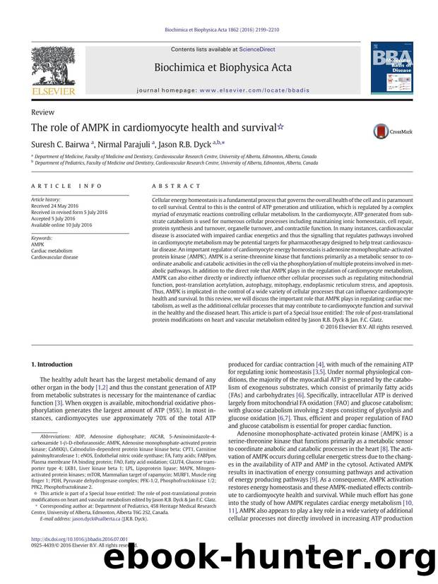 The role of AMPK in cardiomyocyte health and survival by Suresh C. Bairwa & Nirmal Parajuli & Jason R.B. Dyck