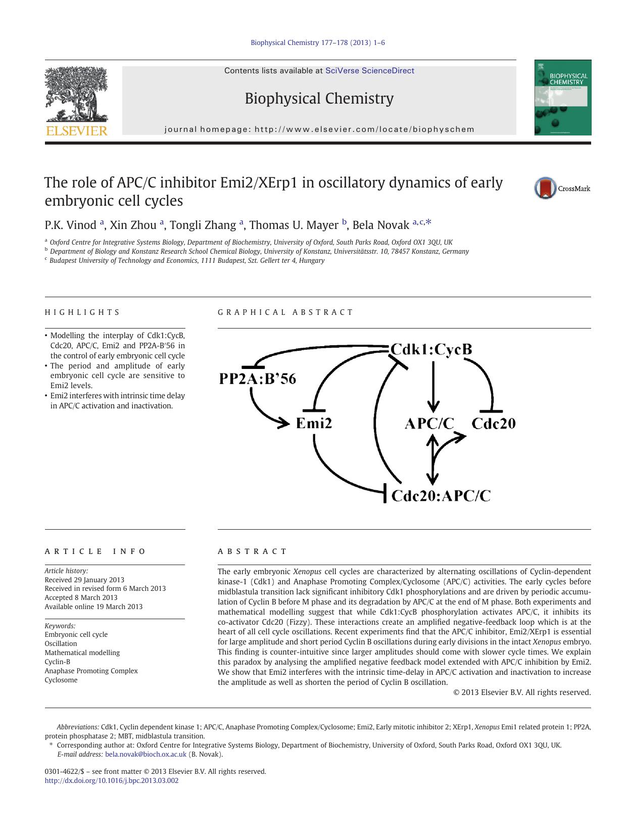 The role of APCC inhibitor Emi2XErp1 in oscillatory dynamics of early embryonic cell cycles by P.K. Vinod & Xin Zhou & Tongli Zhang & Thomas U. Mayer & Bela Novak