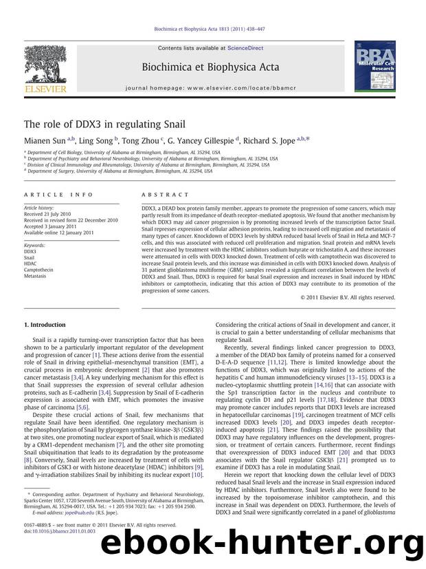 The role of DDX3 in regulating Snail by Mianen Sun & Ling Song & Tong Zhou & G. Yancey Gillespie & Richard S. Jope