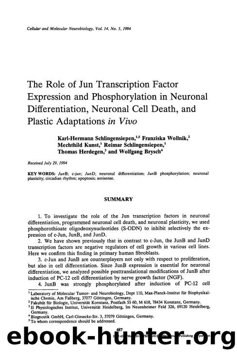 The role of Jun transcription factor expression and phosphorylation in neuronal differentiation, neuronal cell death, and plastic adaptations <Emphasis Type="Italic">in vivo <Emphasis> by Unknown