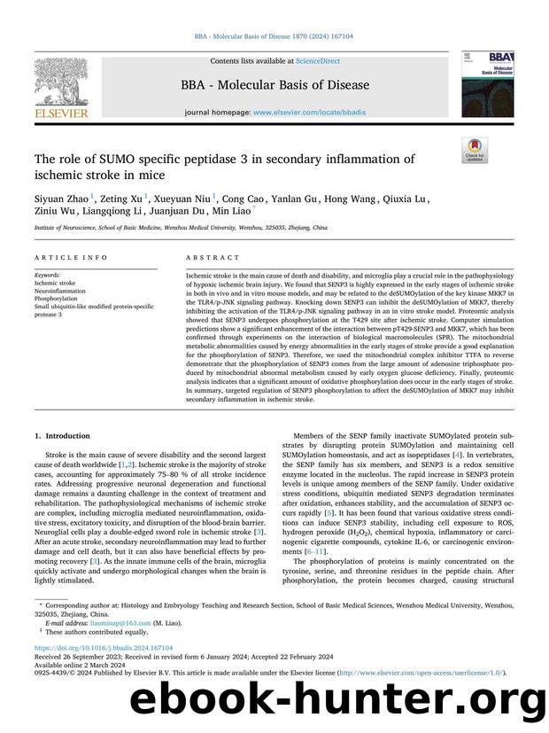 The role of SUMO specific peptidase 3 in secondary inflammation of ischemic stroke in mice by unknow