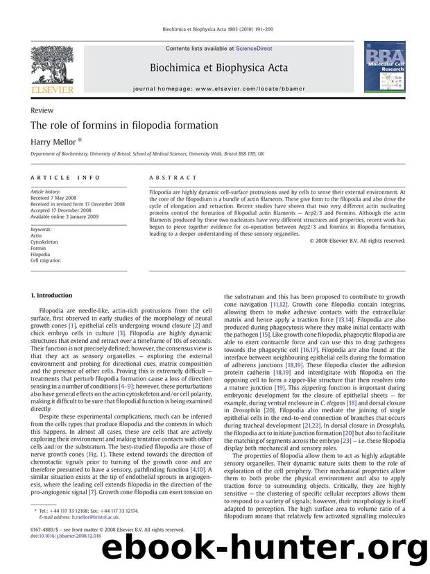The role of formins in filopodia formation by Harry Mellor