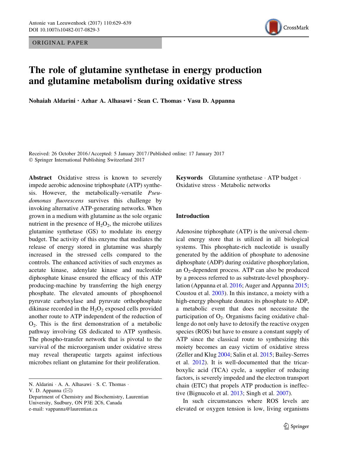 The role of glutamine synthetase in energy production and glutamine metabolism during oxidative stress by Nohaiah Aldarini & Azhar A. Alhasawi & Sean C. Thomas & Vasu D. Appanna