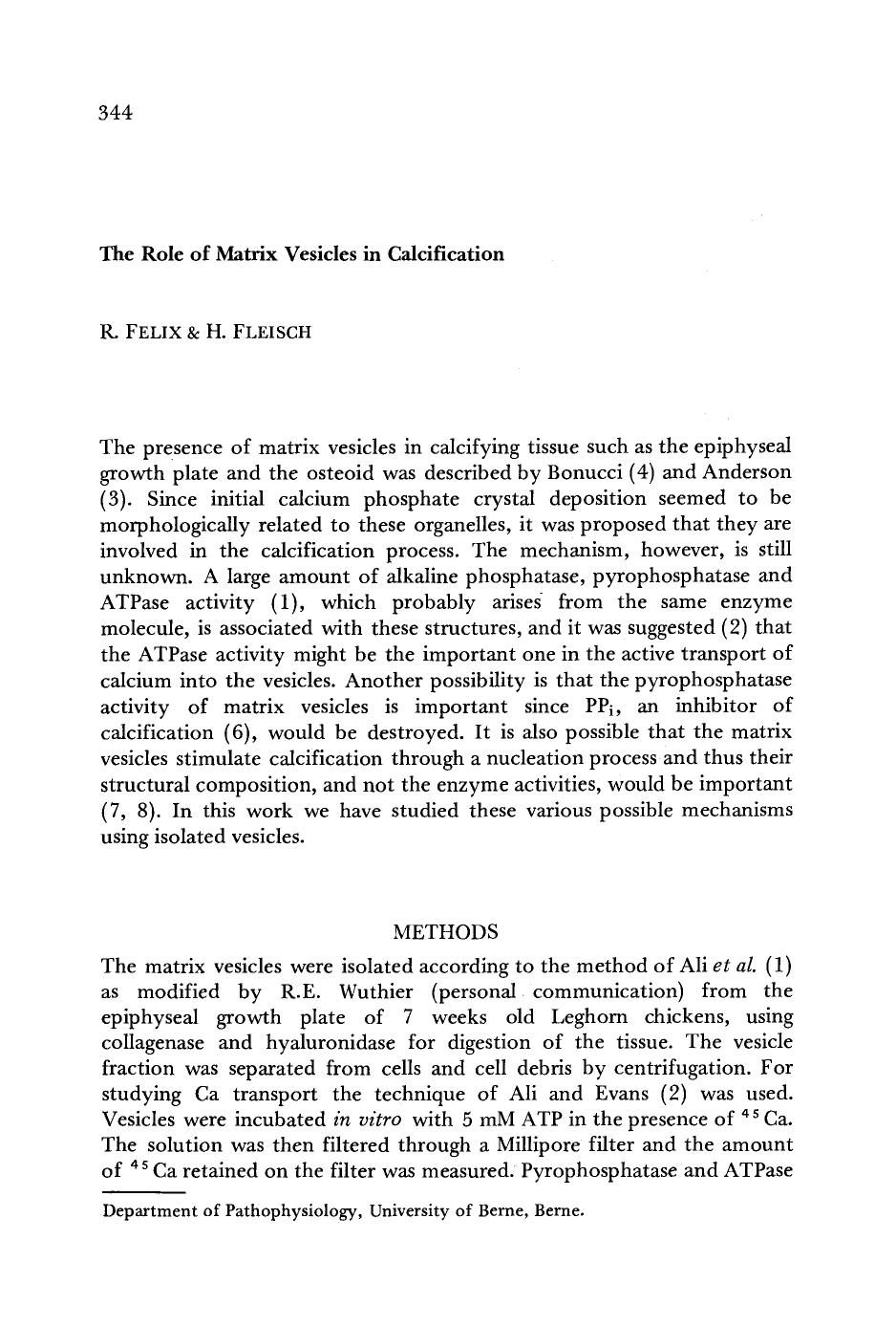 The role of matrix vesicles in calcification by Unknown