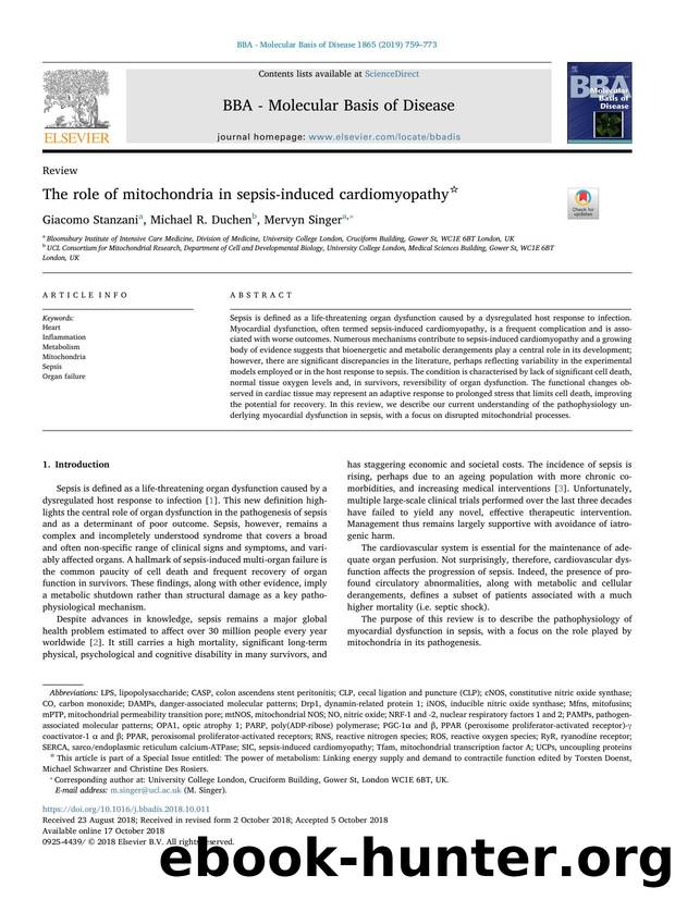 The role of mitochondria in sepsis-induced cardiomyopathy by Giacomo Stanzani & Michael R. Duchen & Mervyn Singer