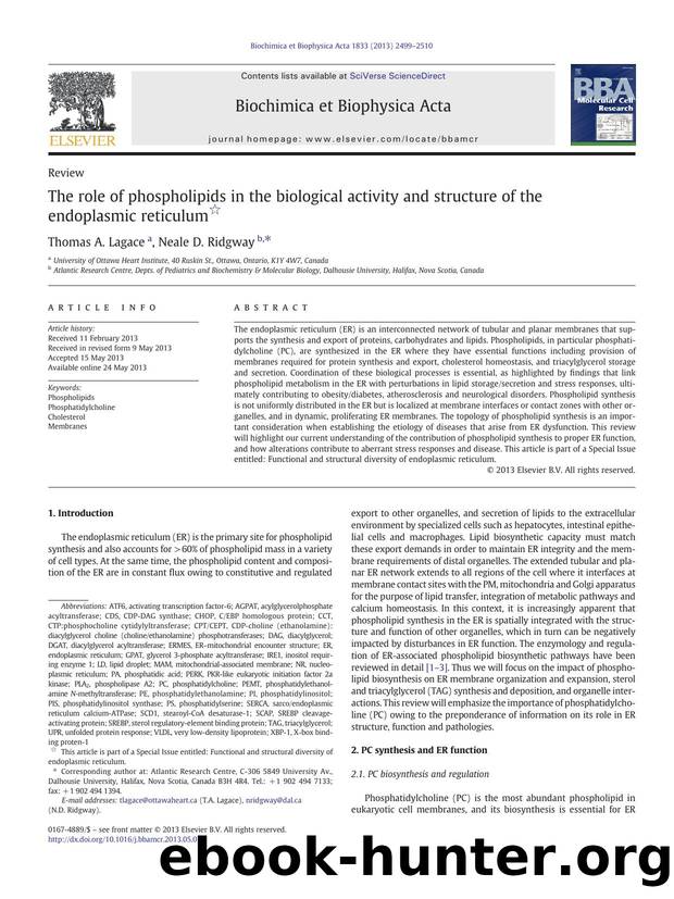 The role of phospholipids in the biological activity and structure of the endoplasmic reticulum by Thomas A. Lagace & Neale D. Ridgway