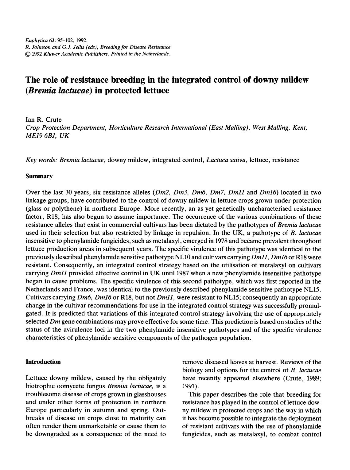 The role of resistance breeding in the intergrated control of downy mildew ( <Emphasis Type="Italic">Bremia lactucae <Emphasis>) in protected lettuce by Unknown