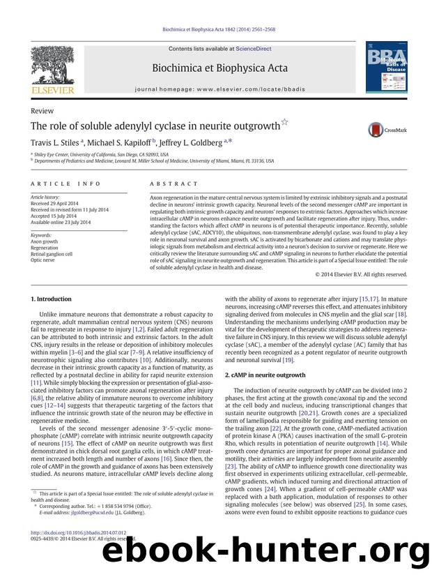 The role of soluble adenylyl cyclase in neurite outgrowth by Travis L. Stiles & Michael S. Kapiloff & Jeffrey L. Goldberg