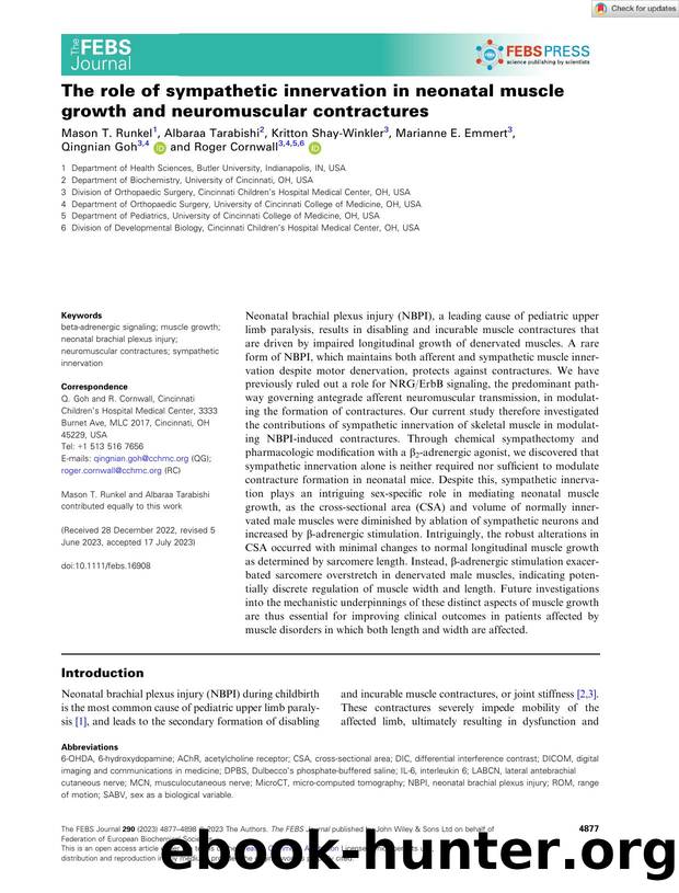 The role of sympathetic innervation in neonatal muscle growth and neuromuscular contractures by Unknown