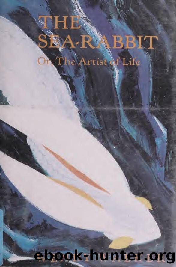 The sea-rabbit, or, The artist of life : tales by Walker Wendy 1951-