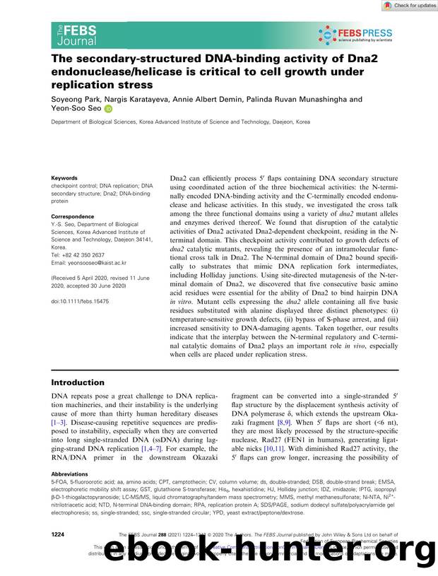 The secondaryâstructured DNAâbinding activity of Dna2 endonucleasehelicase is critical to cell growth under replication stress by Unknown