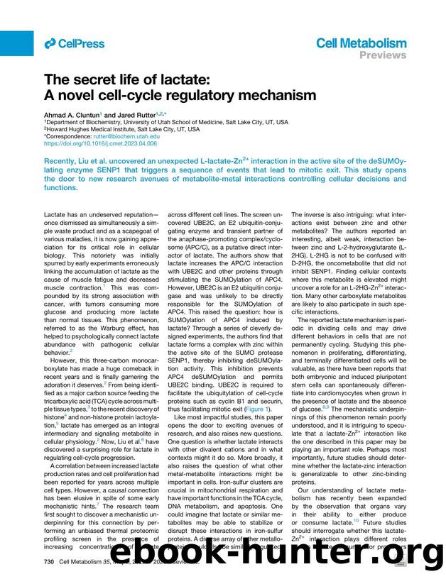 The secret life of lactate: A novel cell-cycle regulatory mechanism by Ahmad A. Cluntun & Jared Rutter