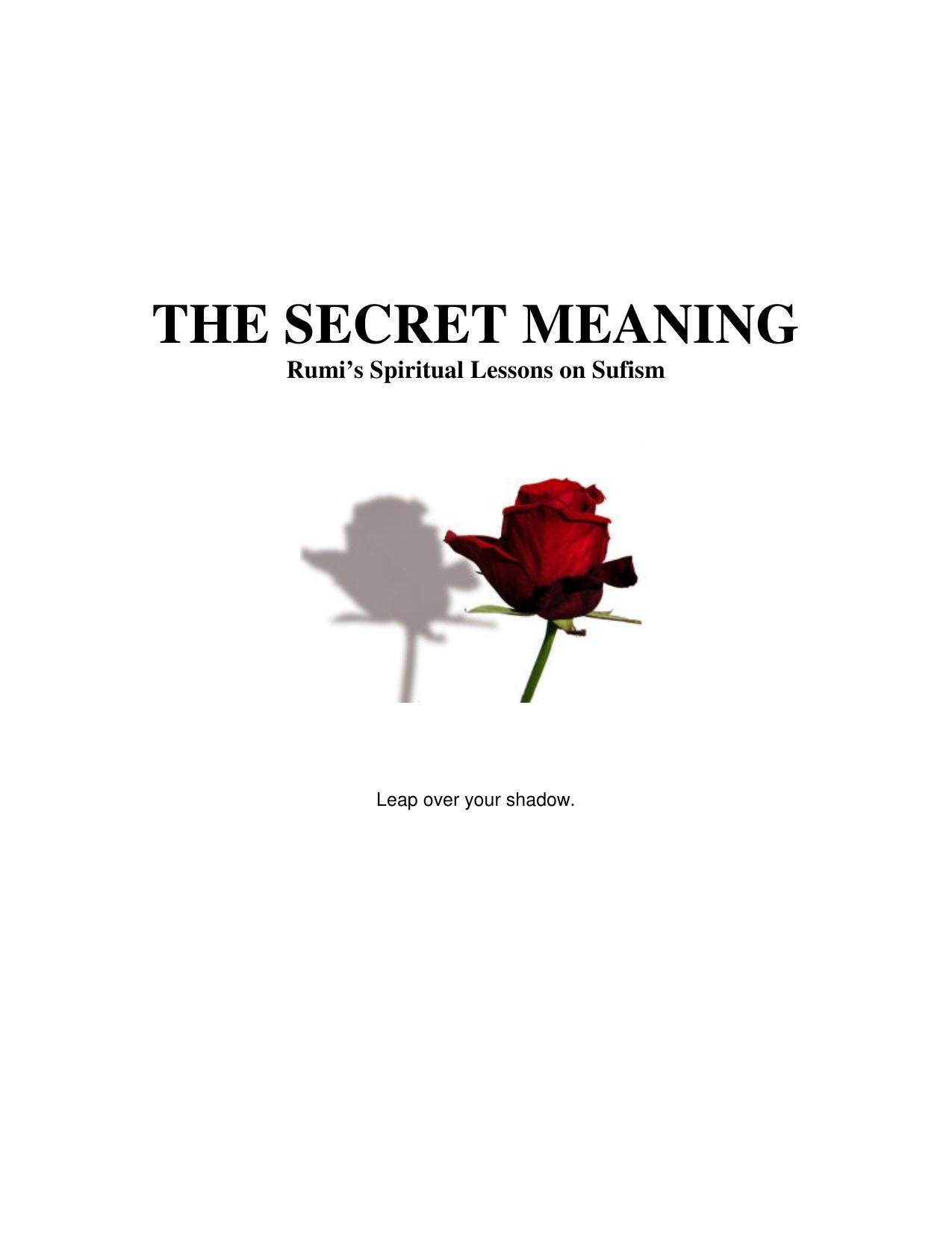 The secret meaning by Rumi Jalaluddin