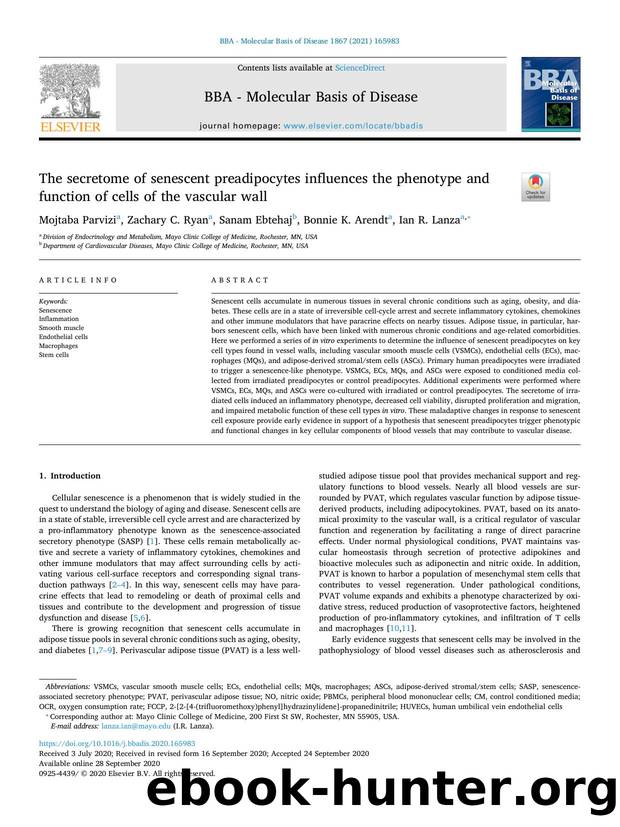 The secretome of senescent preadipocytes influences the phenotype and function of cells of the vascular wall by Mojtaba Parvizi & Zachary C. Ryan & Sanam Ebtehaj & Bonnie K. Arendt & Ian R. Lanza