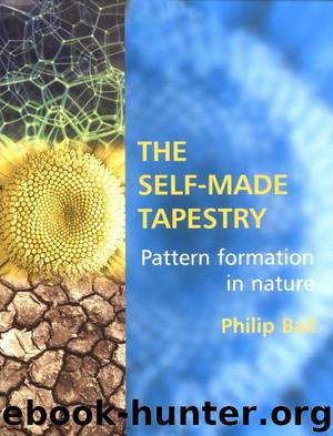 The self-made tapestry: pattern formation in nature by Philip Ball