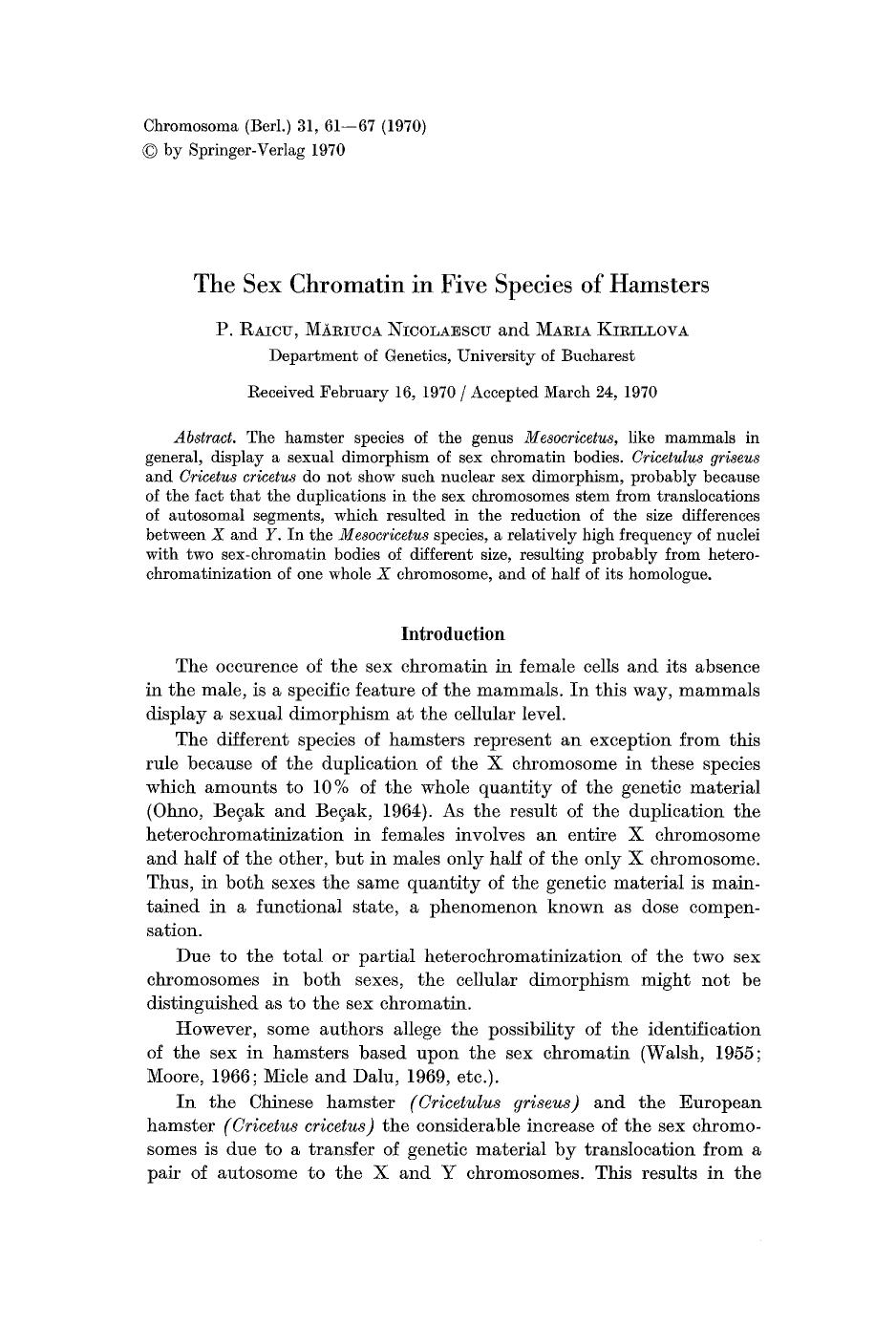 The sex chromatin in five species of hamsters by Unknown