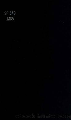 The silk raiser's manual; or, The art of raising and feeding silk worms, and of cultivating the mulberry tree by Morin