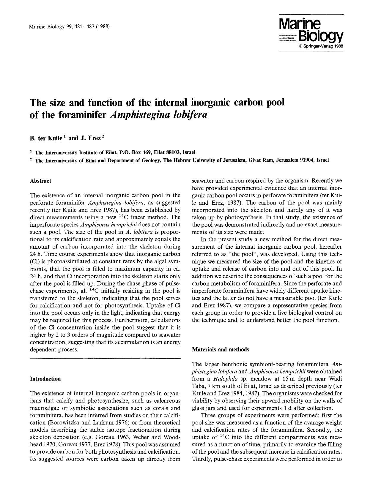 The size and function of the internal inorganic carbon pool of the foraminifer <Emphasis Type="Italic">Amphistegina lobifera<Emphasis> by Unknown