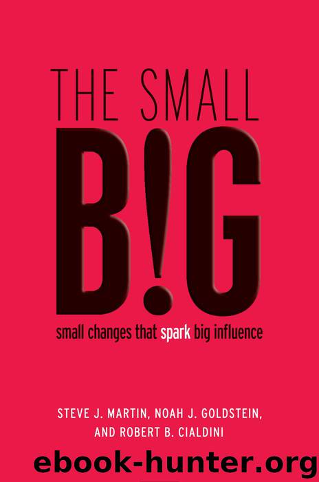 The small BIG by Steve J. Martin