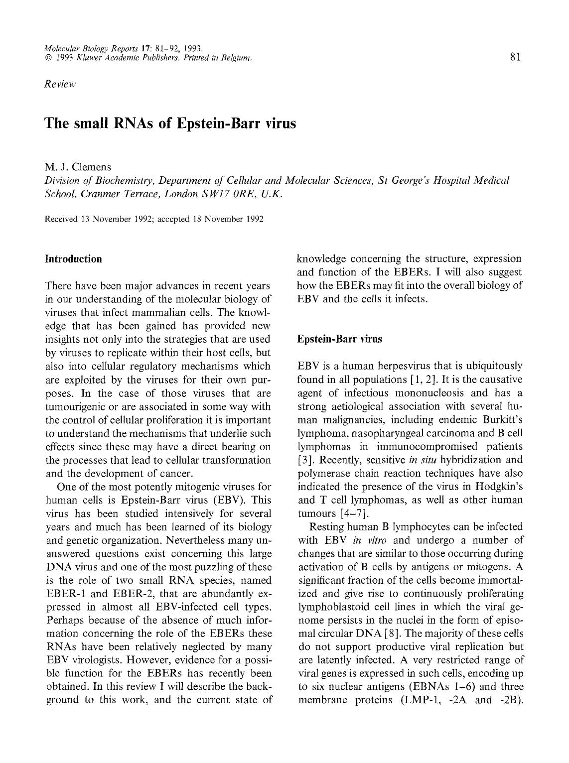 The small RNAs of Epstein-Barr virus by Unknown