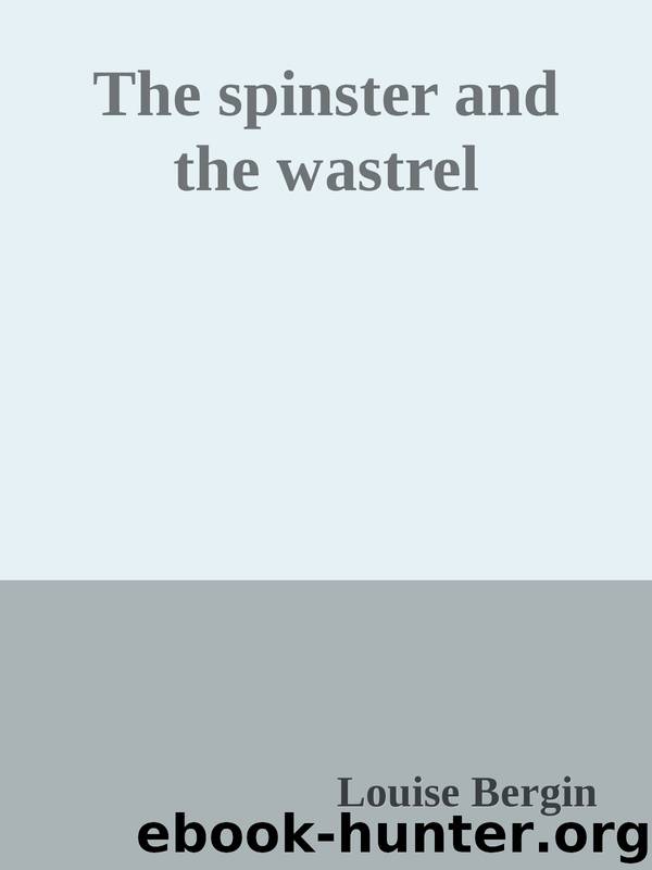The spinster and the wastrel by Louise Bergin